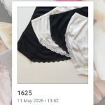 شورت میسپل ترک کد 1625